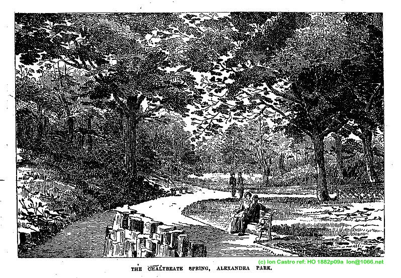 Opening Hastings Alexandra park 1882